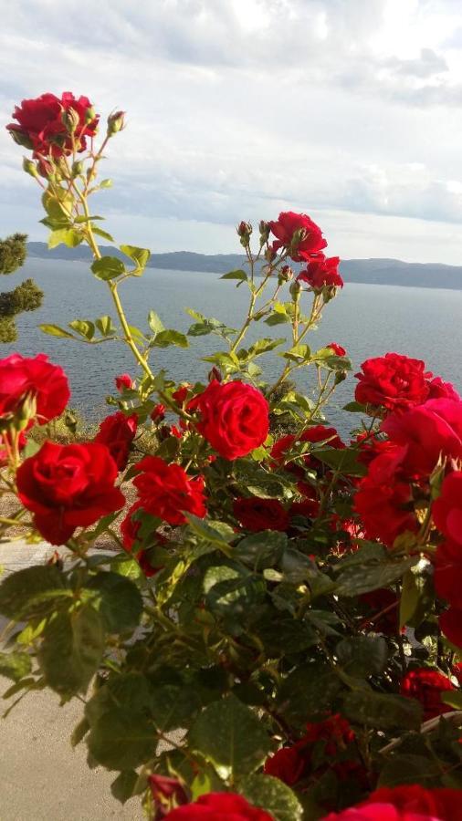 View On Th Sea Pisak Apartment Екстериор снимка